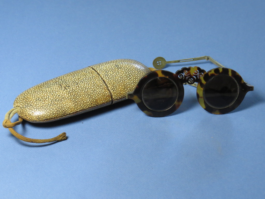 Tortoiseshell - metal temples